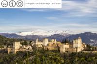 Alemania busca jóvenes interesados en Granada en FP dual 