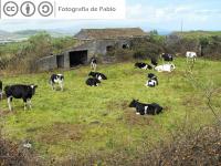 Dos nuevos currículos de FP en Castilla y León